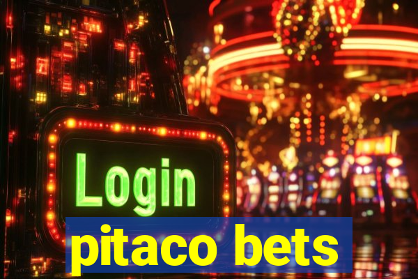 pitaco bets